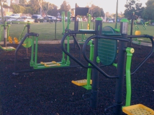 adult outdoor fitness recreation area